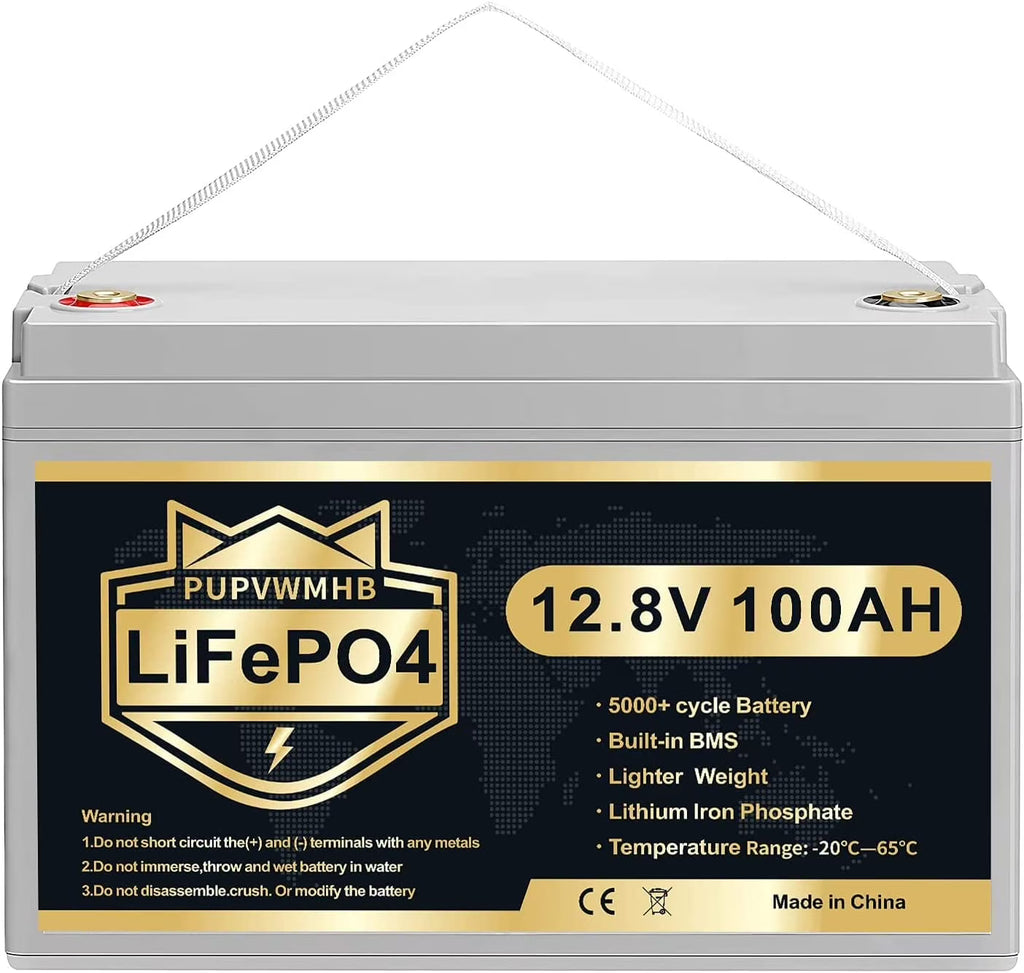 LiFePO4 Battery 12V 100Ah Lithium Iron Phosphate Battery with Built-in BMS N81894