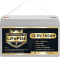 LiFePO4 Battery 12V 100Ah Lithium Iron Phosphate Battery with Built-in BMS N81894