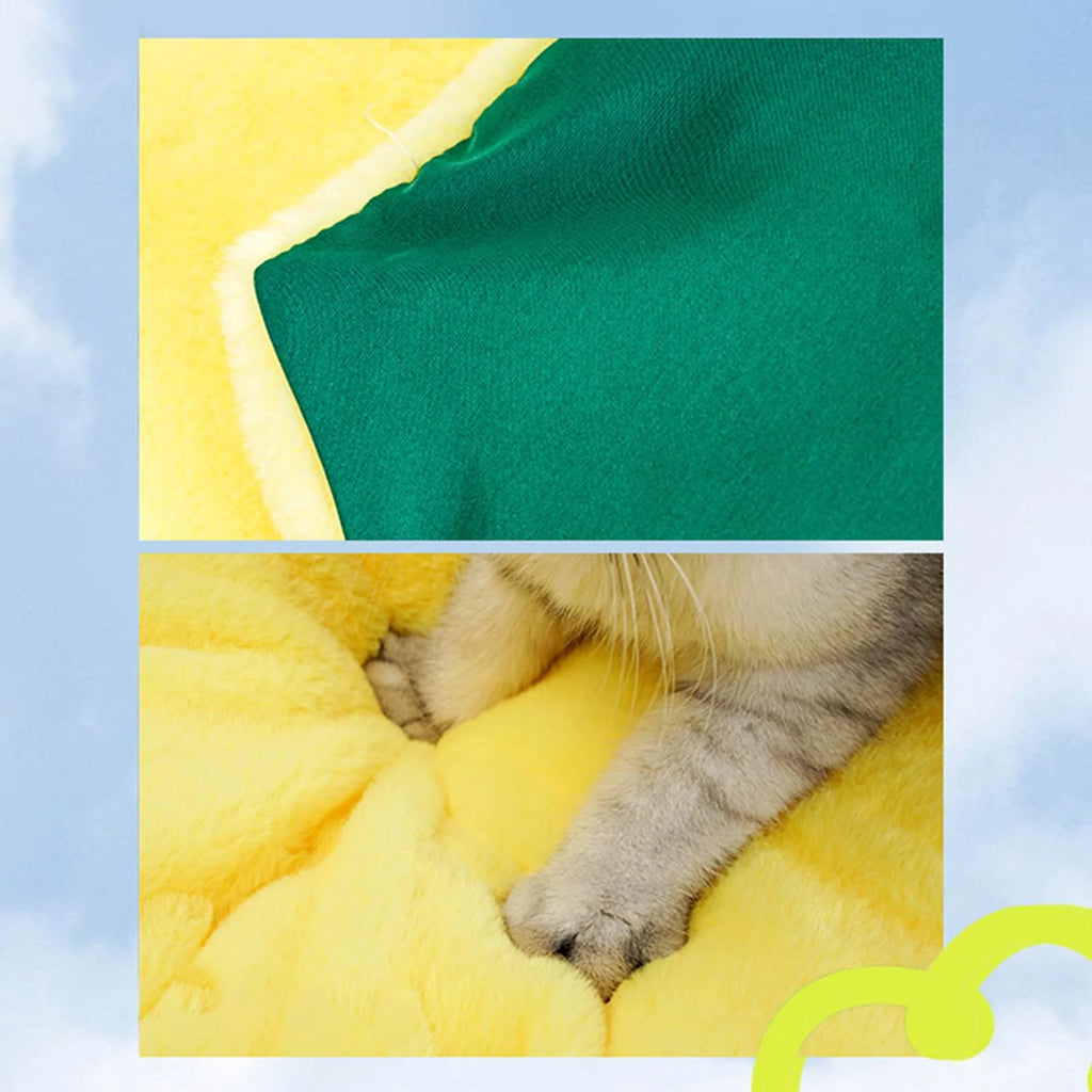 Cat Tent Pet House H759