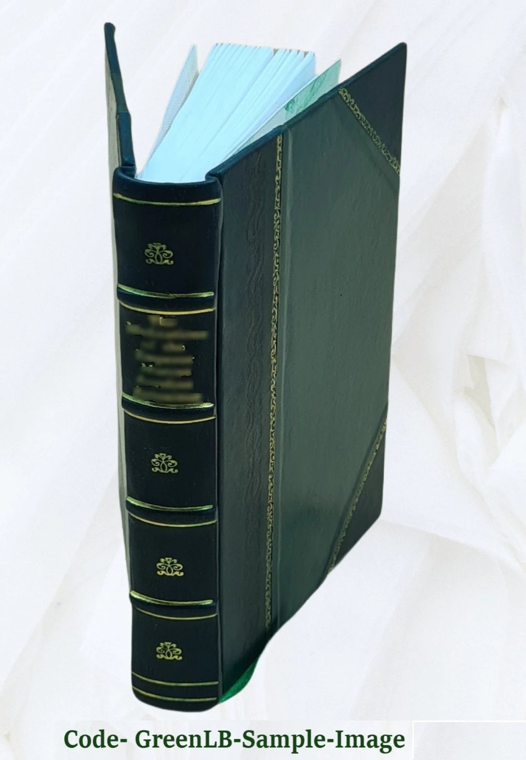 Recollections of a Diplomat 1918 Leather Bound I853