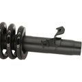 Strut-Plus Assembly Z602718
