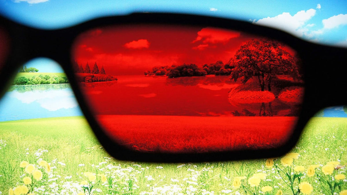 Blue Blocking Glasses D654