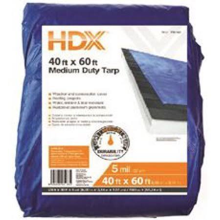 Blue 40 ft. x 60 ft. General-Purpose Tarp C972054