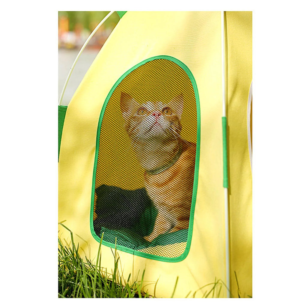 Cat Tent Pet House H759