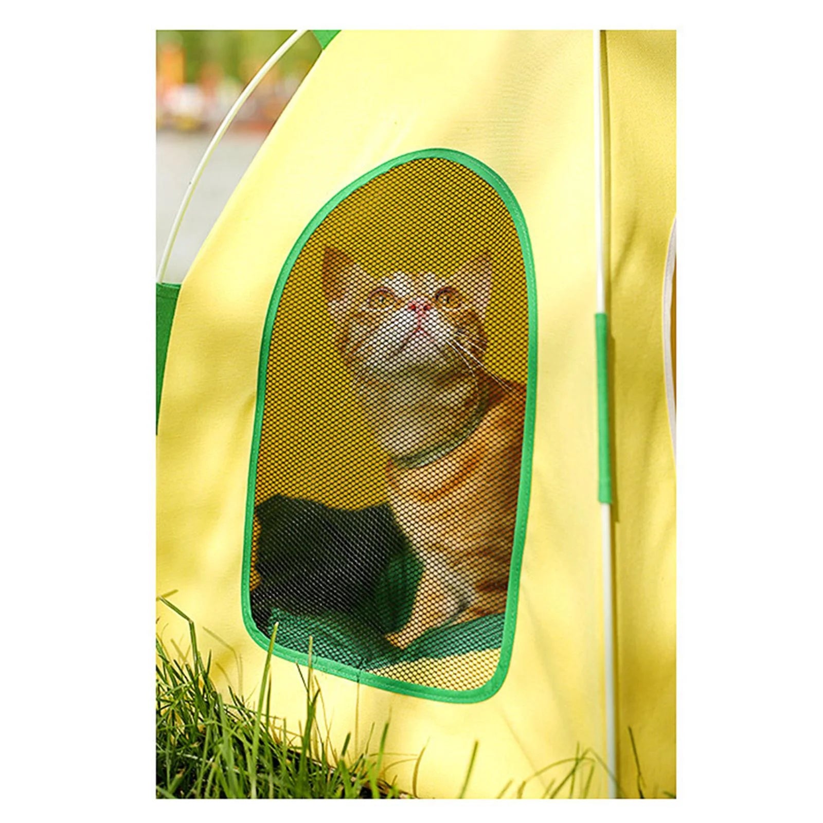 Cat Tent Pet House H759