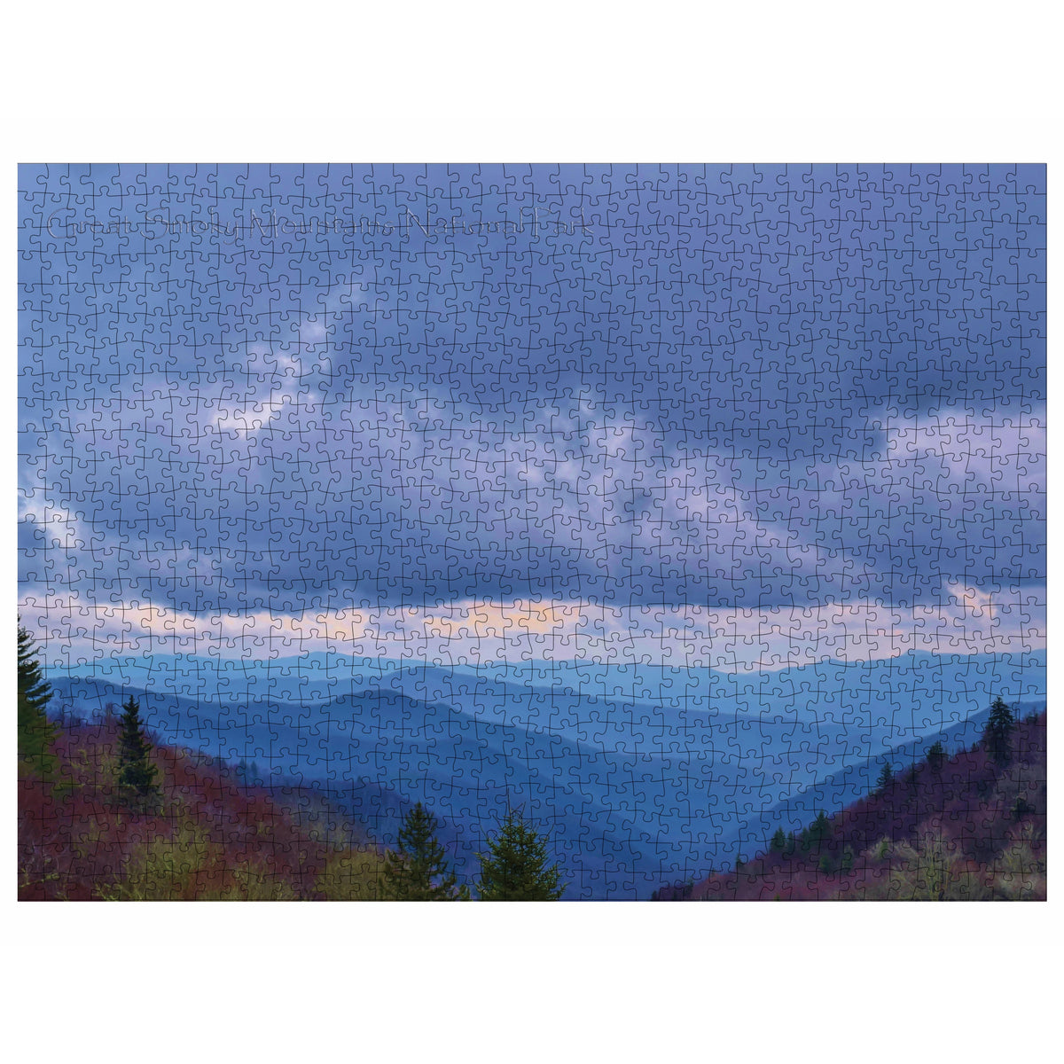 1000 Piece Jigsaw Puzzle H2425