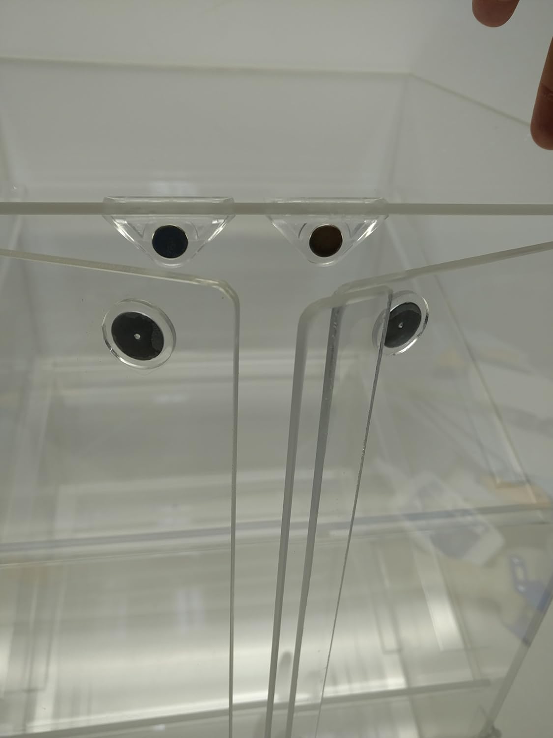 3 trays Pastry Display Case P9728