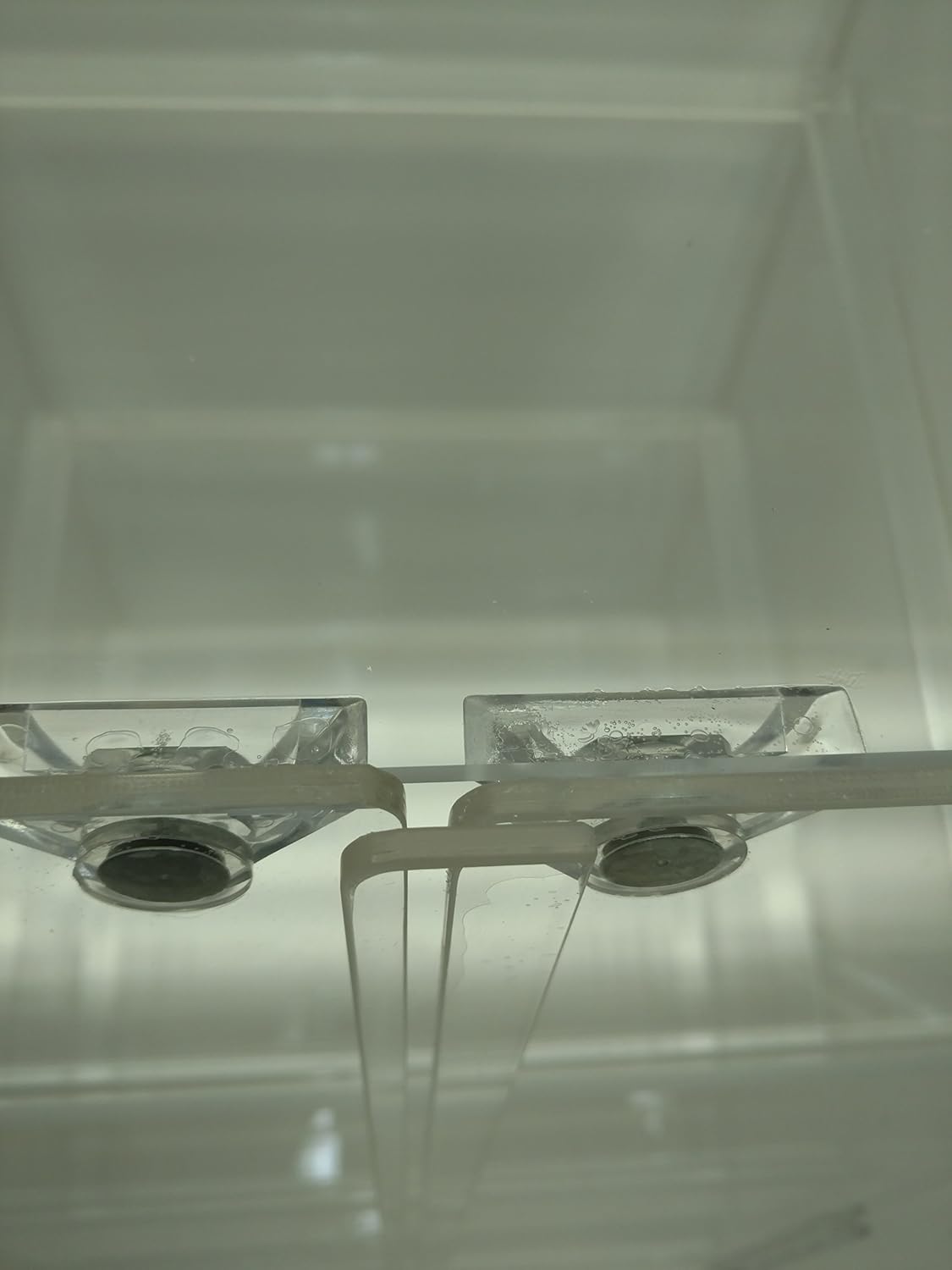 3 trays Pastry Display Case P9728