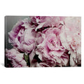 Peonies Galore II J538153