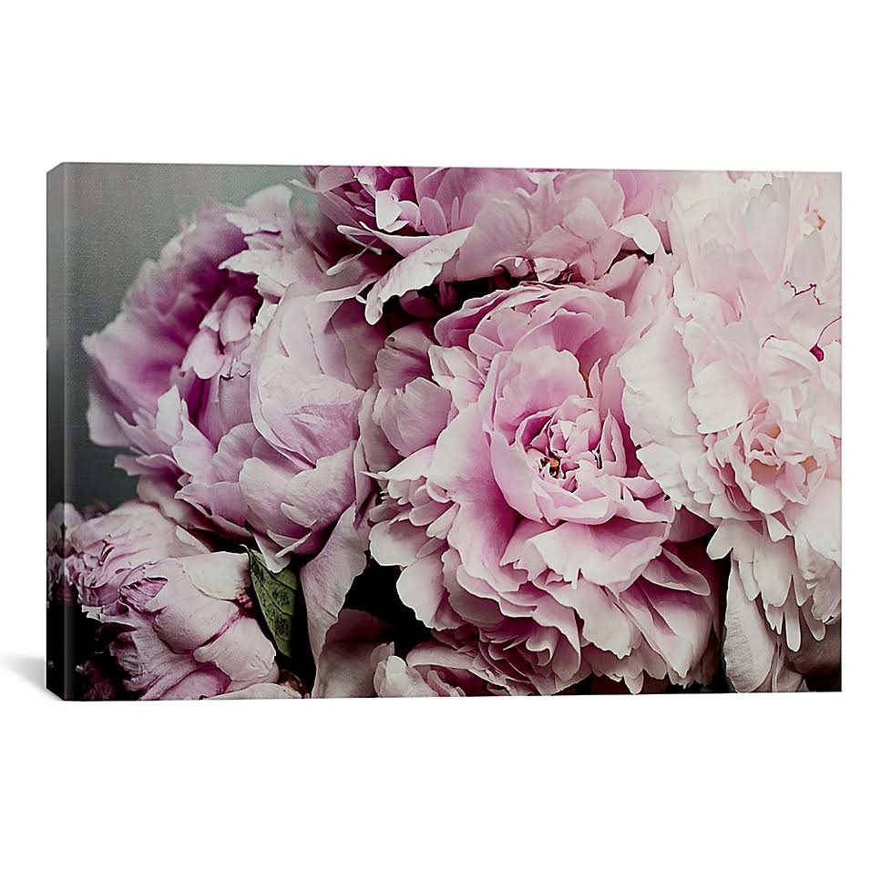 Peonies Galore II J538153