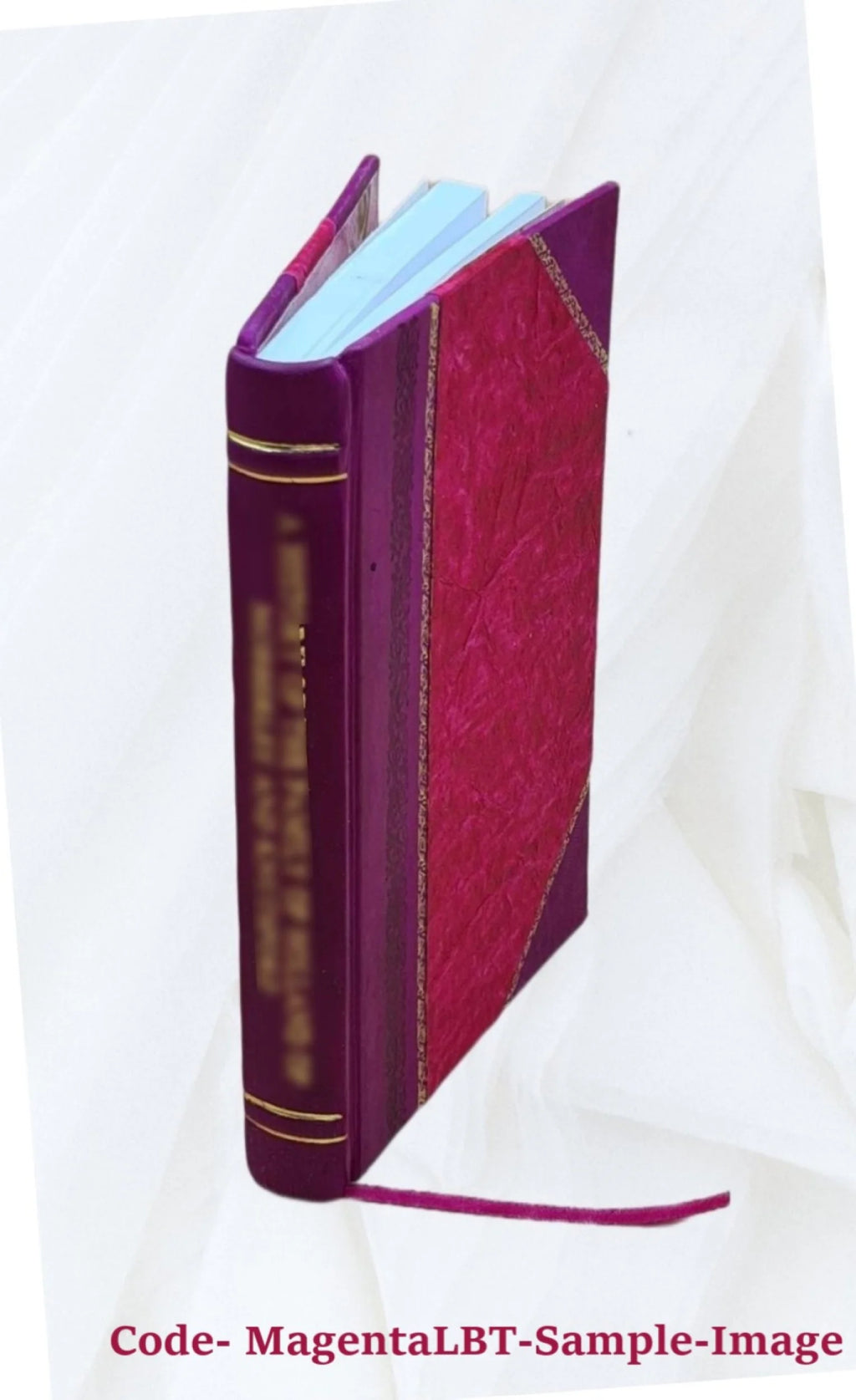 Leather Bound Book X906