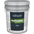 White Exterior Flat Latex Paint 5 Gallon N175