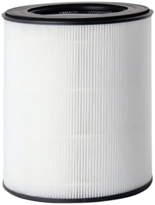 HEPA Filter Replacement Pack of 2 N43125