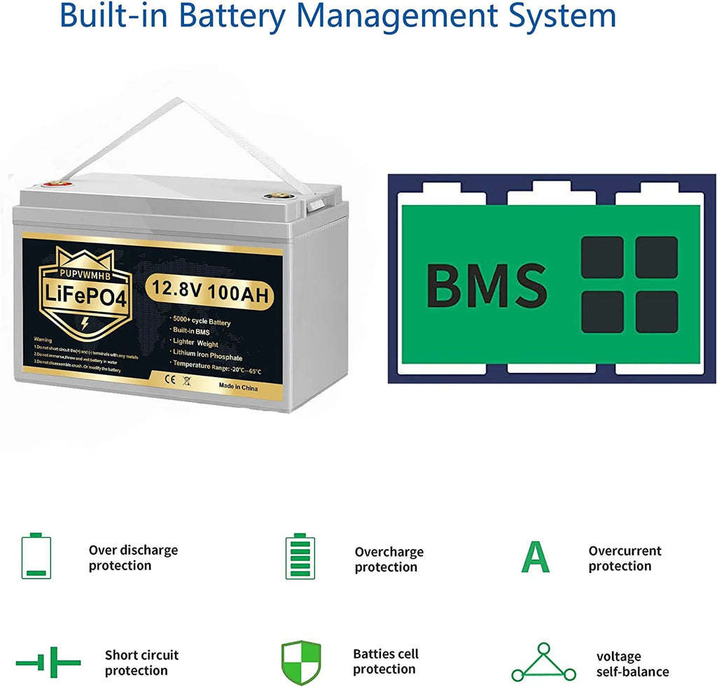 LiFePO4 Battery 12V 100Ah Lithium Iron Phosphate Battery with Built-in BMS N81894