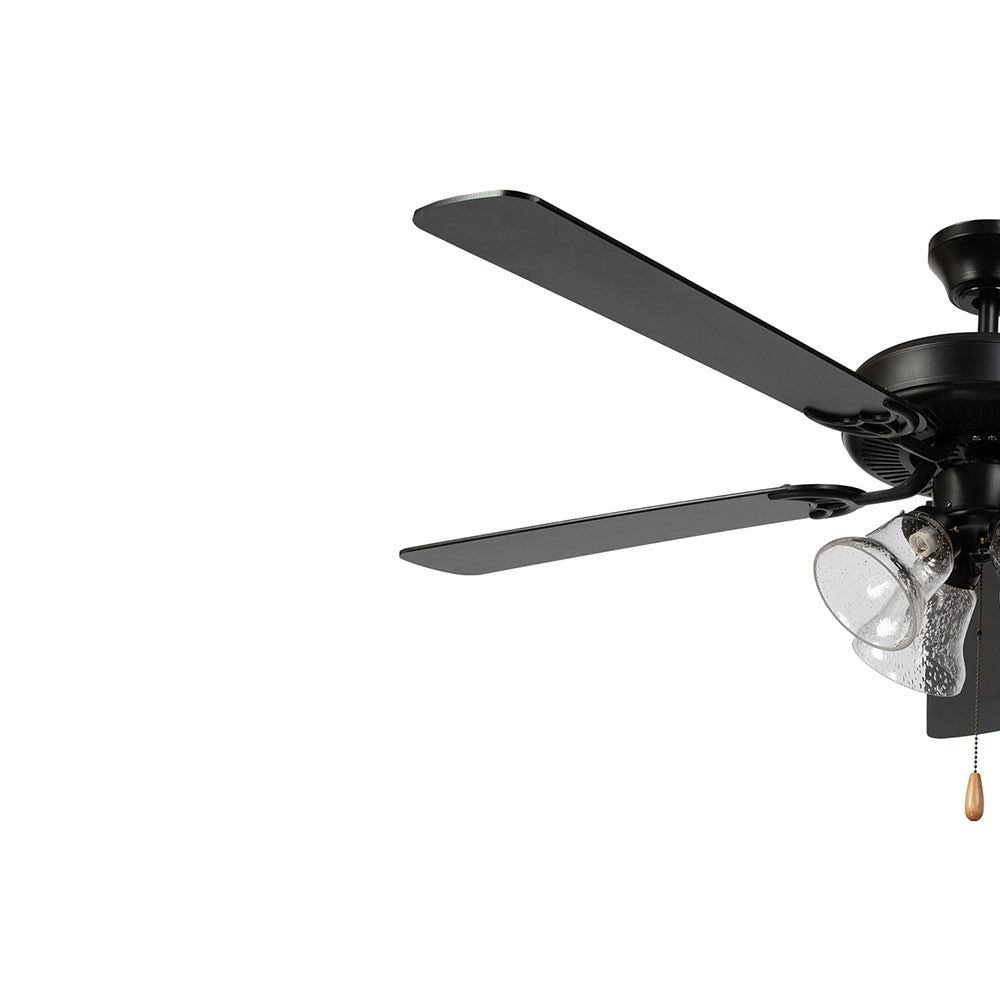 5 Blade Ceiling Fan in Black Finish with Clear Seedy Glass Q179