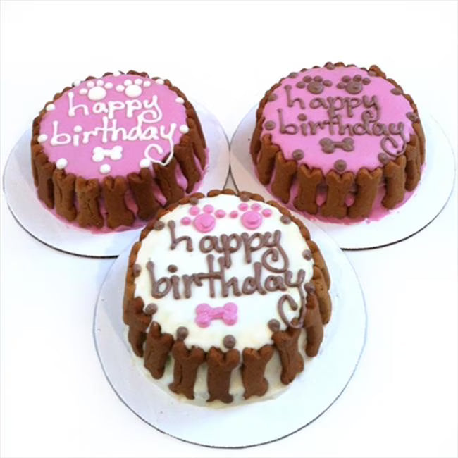 Classic Cake U609937