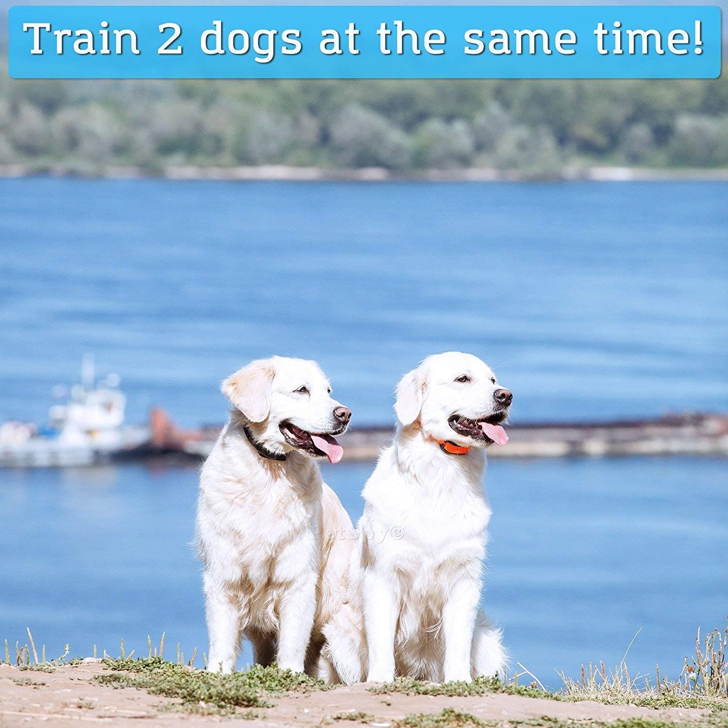 Waterproof Rechargeable Remote Training Dog Collar Pack of 2 L75385