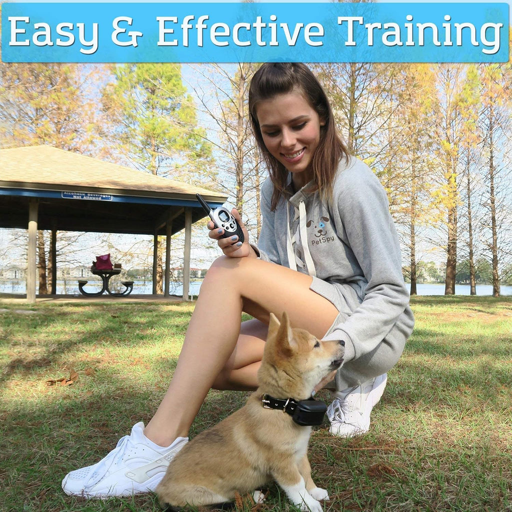 Waterproof Rechargeable Remote Training Dog Collar Pack of 2 L75385