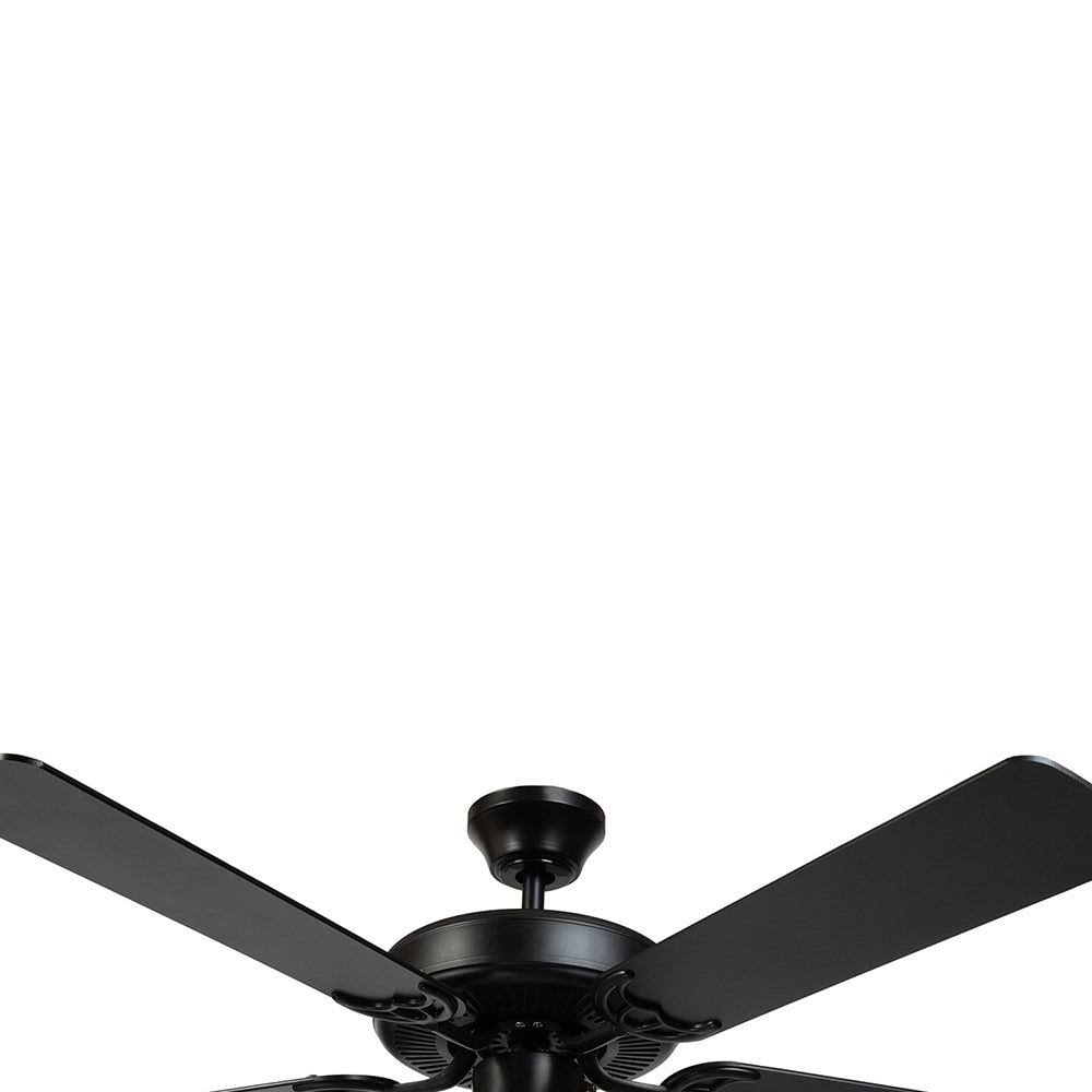 5 Blade Ceiling Fan in Black Finish with Clear Seedy Glass Q179