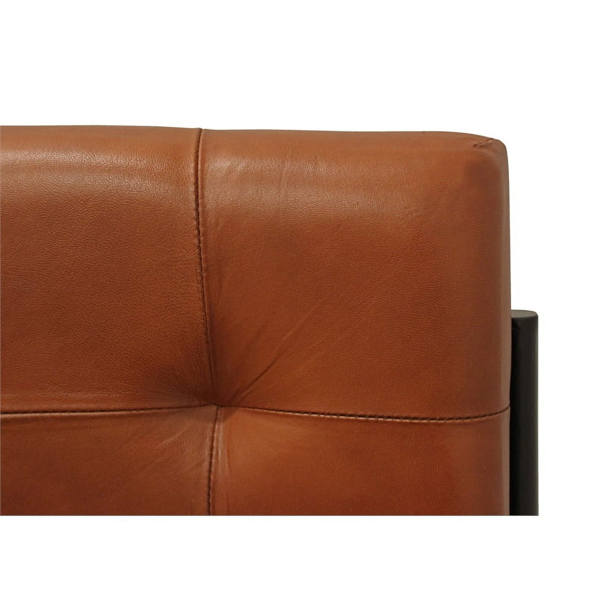 Leather Upholstered Side Chair with Cast Iron Frame in Mahogany M934836