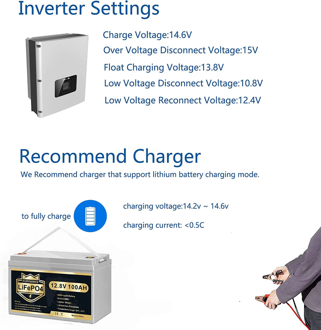 LiFePO4 Battery 12V 100Ah Lithium Iron Phosphate Battery with Built-in BMS N81894