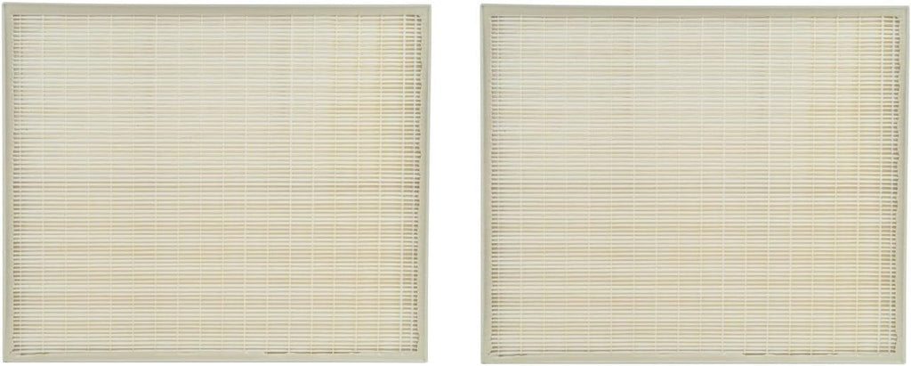 2 Packs True HEPA Carbon Pre Filter Set I5723