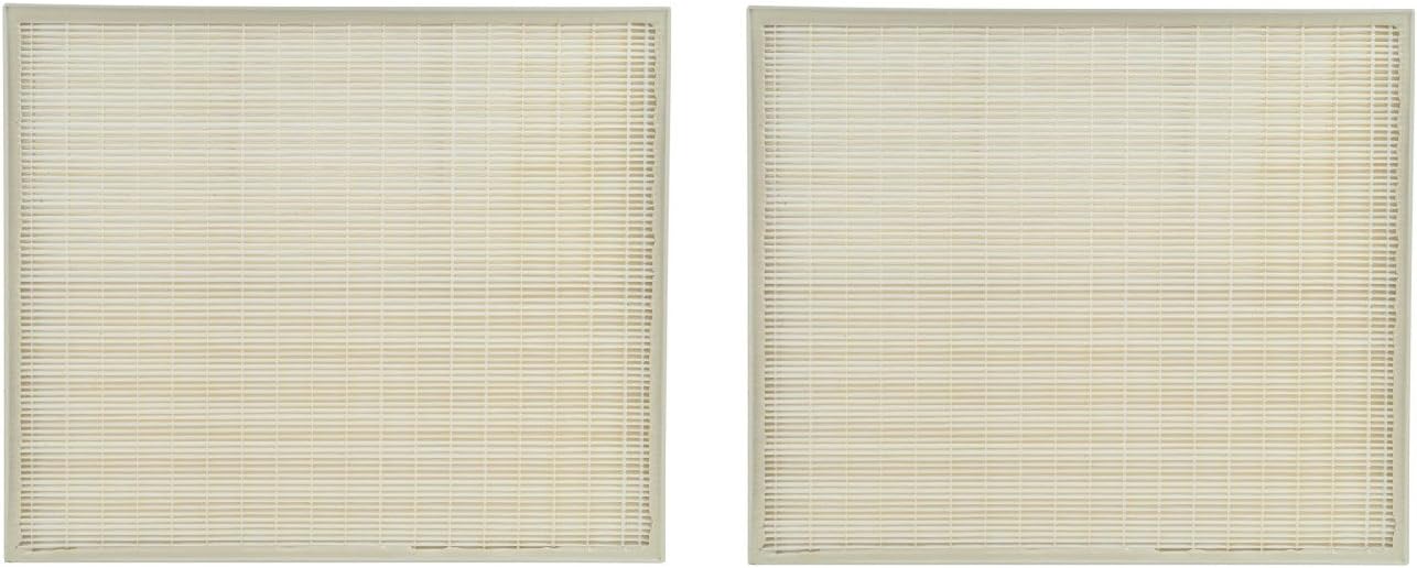 2 Packs True HEPA Carbon Pre Filter Set I5723