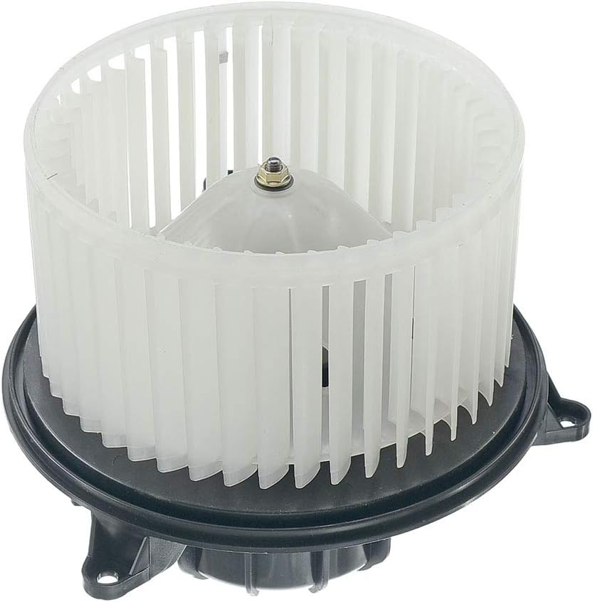 Heater Blower Motor with Fan Cage Pack of 2 T571