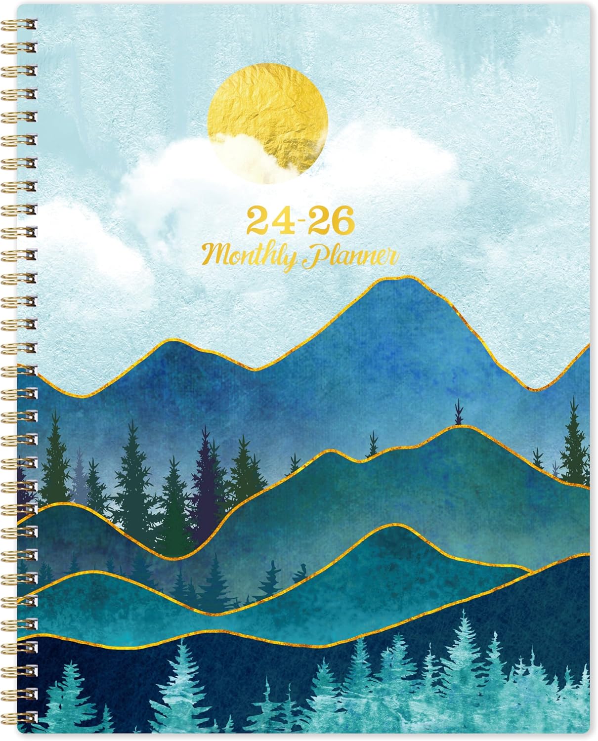 2-Year Monthly Planner 9" × 11" with Flexible Cover T385794