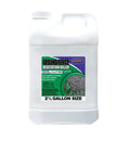 2.5 Gallon Vegetation Killer W253709