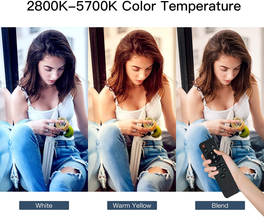 Softbox Lighting Kit Continuous Lighting System with 5700K Light Bulb C183003