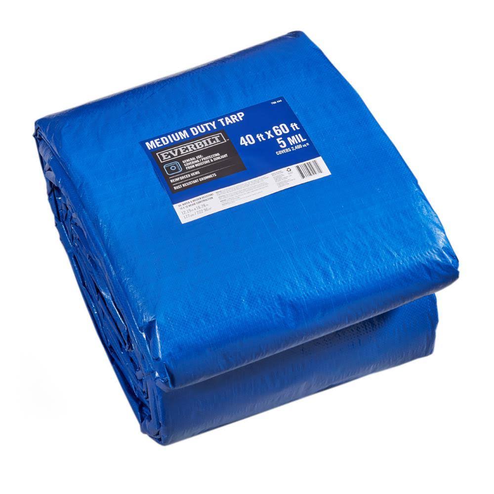 Blue 40 ft. x 60 ft. General-Purpose Tarp C972054