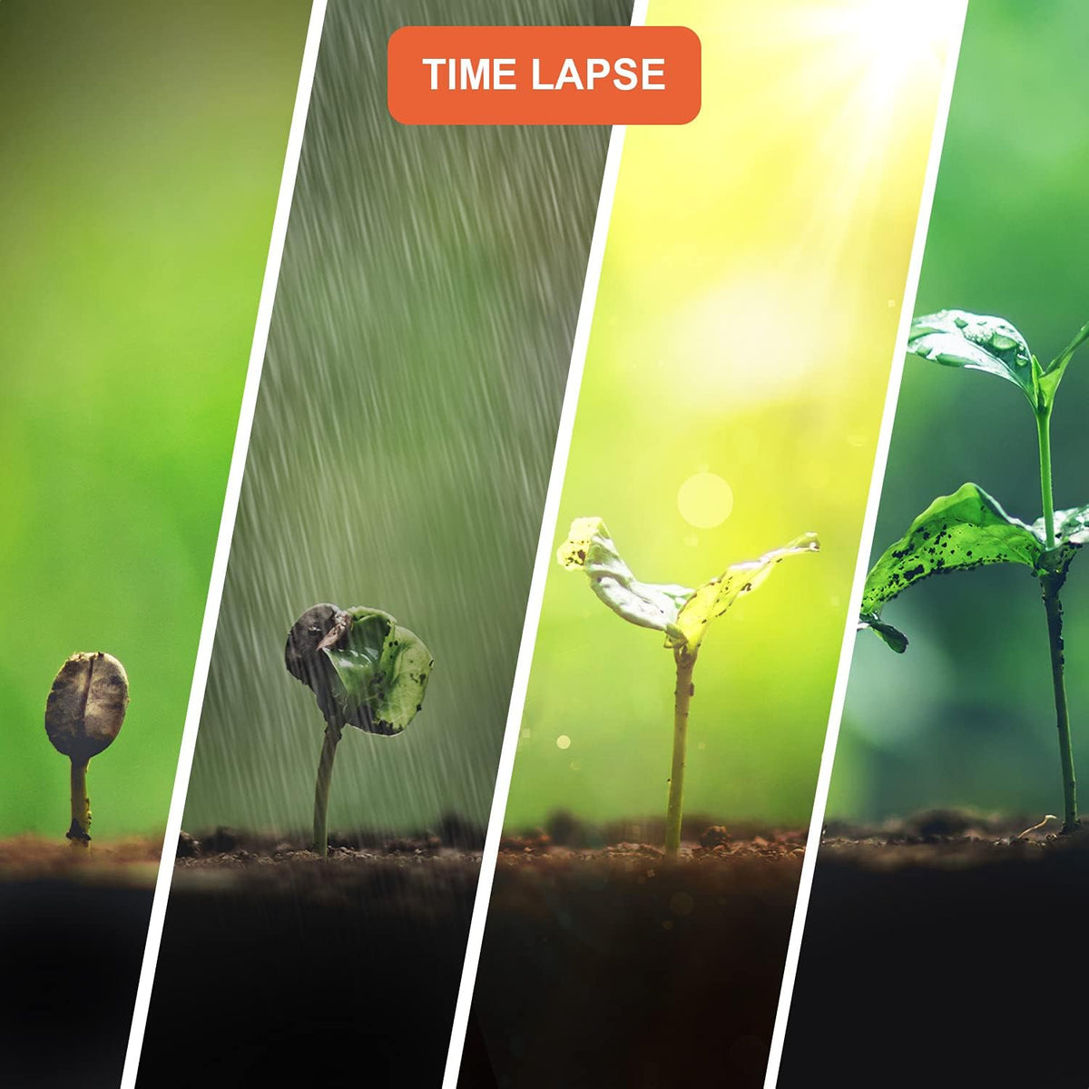 Time-Lapse Camera 2.4” LCD 1920x1080 Full HD Video 110° Wide-Angle Lens 6 Month Battery Life 2W White LED Loop Recording Storage up to 512GB D2779