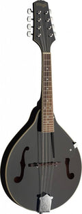 Black Bluegrass Mandolin G125859