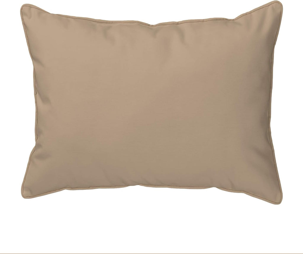 Teal Indoor/Outdoor Pillow Z277