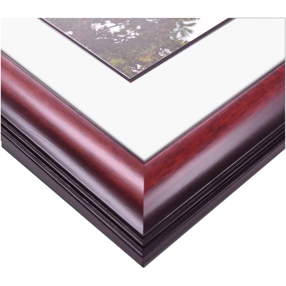 8.5x22 x 11x22 Diploma Frame E86808