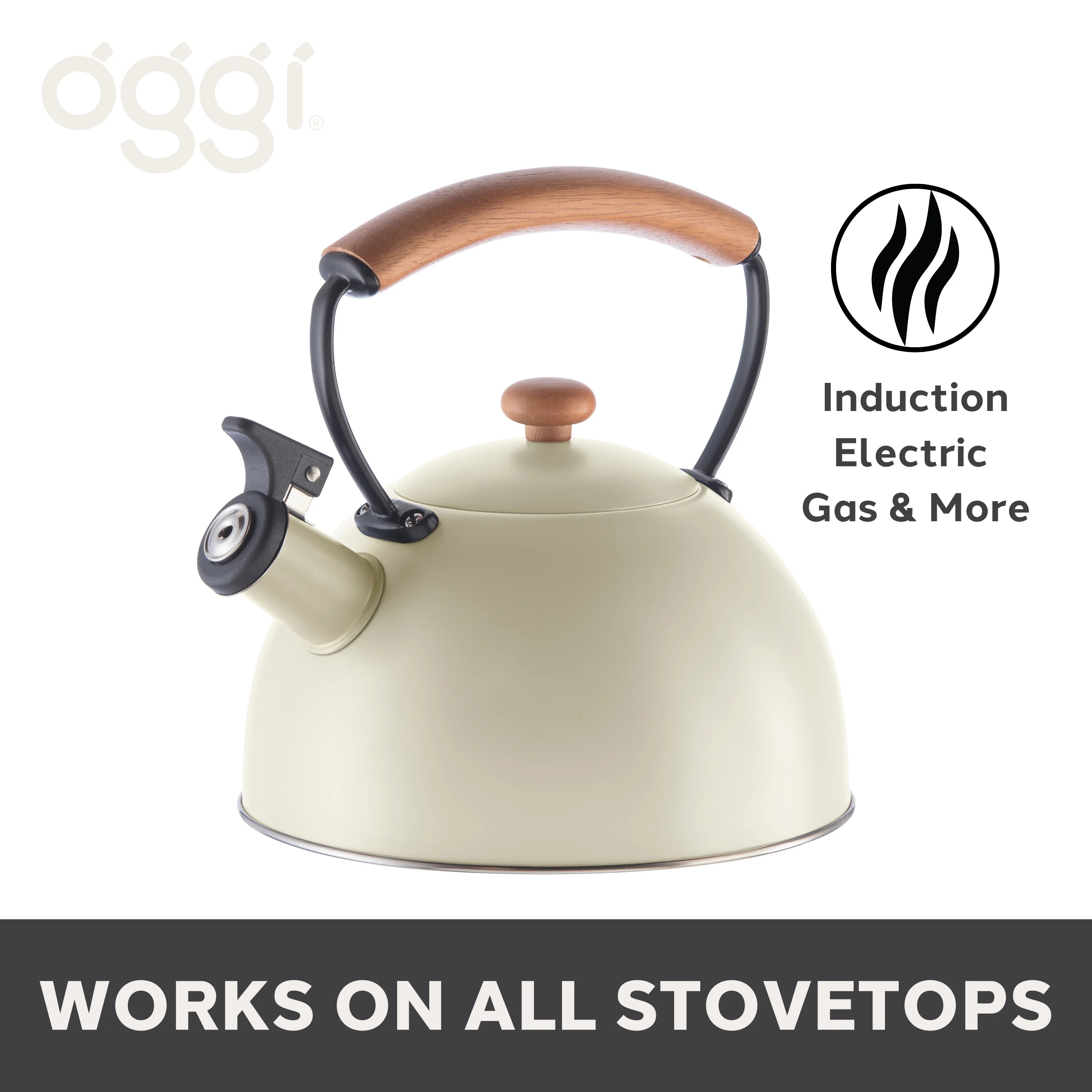 2.5 lt Whistling Tea Kettle N1813