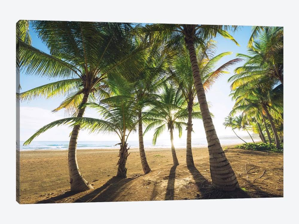 Canvas Wall Decor Prints - Palm Island, Puerto Rico M46176
