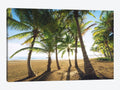 Canvas Wall Decor Prints - Palm Island, Puerto Rico M46176
