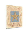 Starfish Postcard Giclee Print H14587