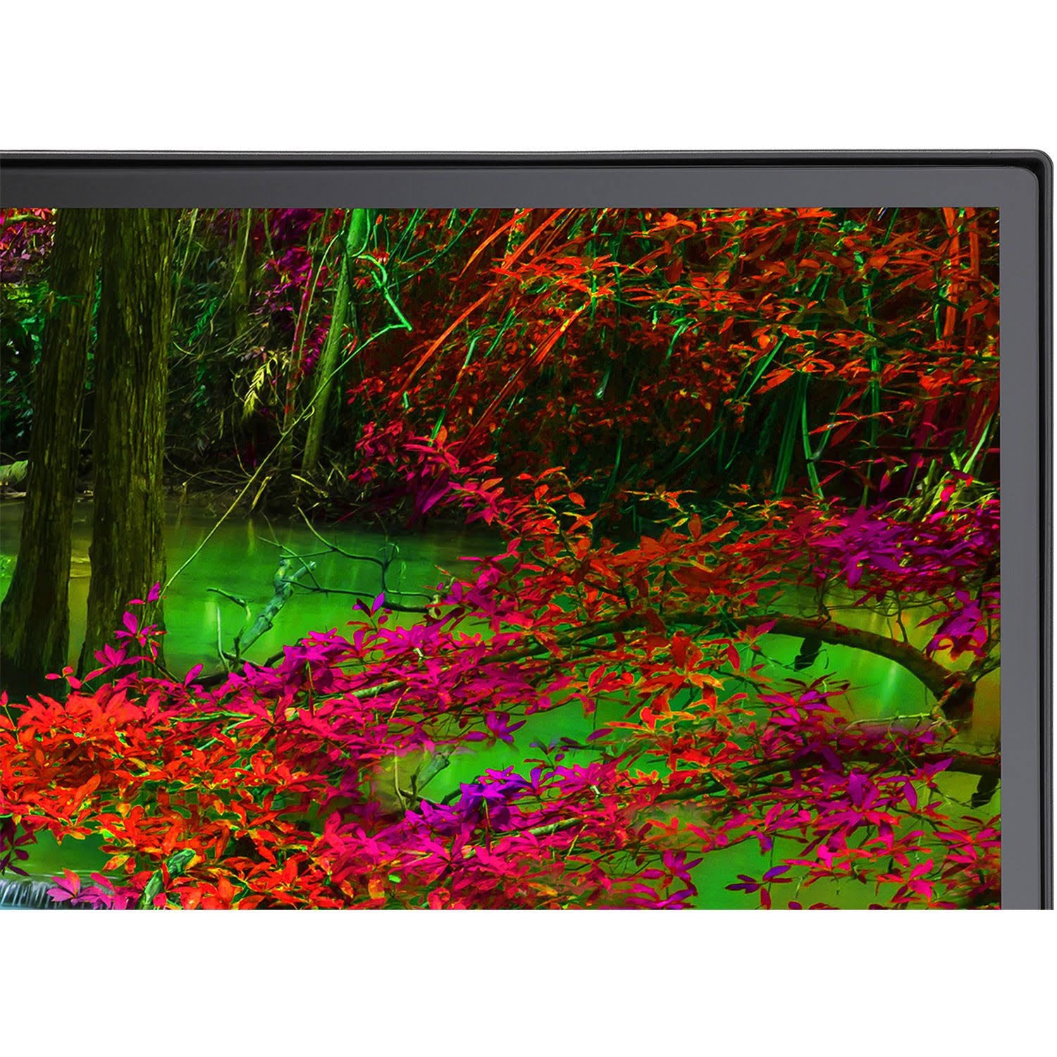27" WLED LCD Monitor - 16:9 R14360