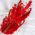 Red Curly Feather Sprays K470501