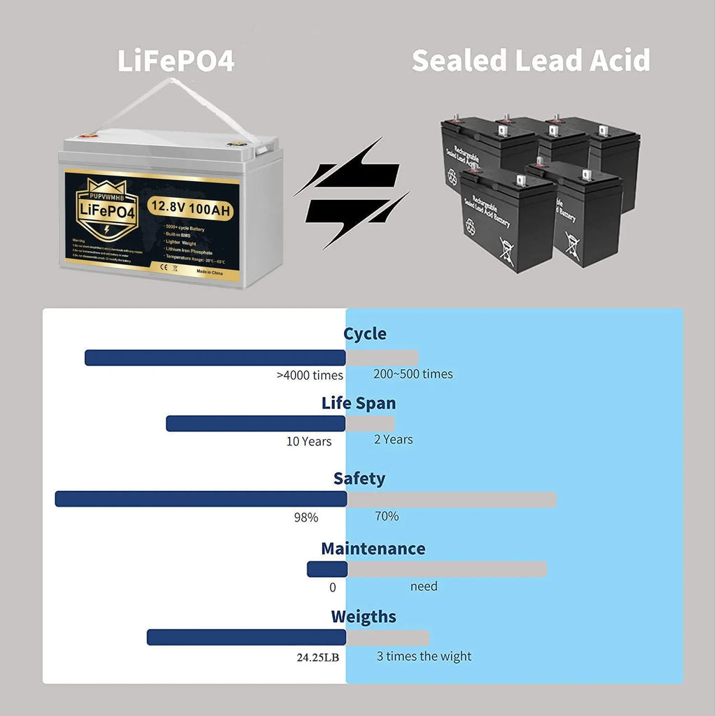 LiFePO4 Battery 12V 100Ah Lithium Iron Phosphate Battery with Built-in BMS N81894