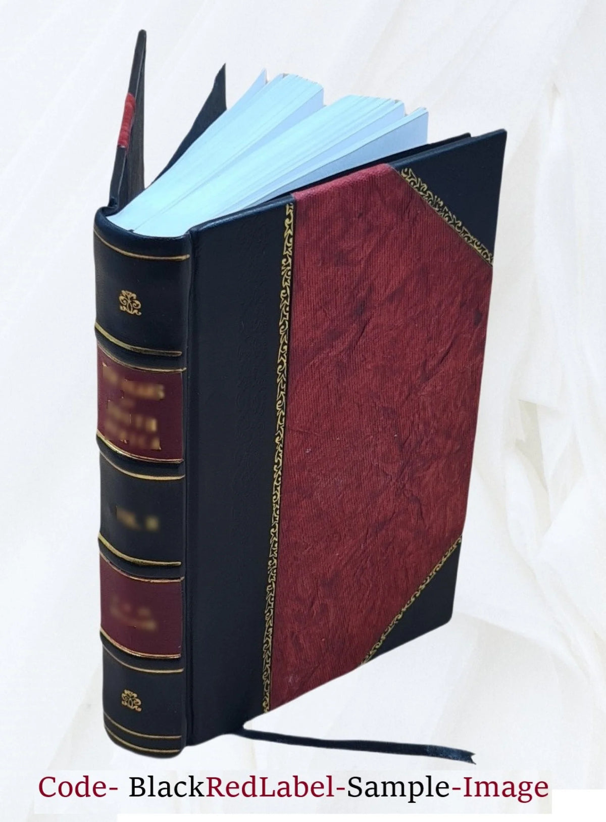Recollections of a Diplomat 1918 Leather Bound I853